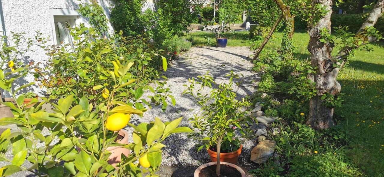 Villa Rosen - Ferienwohnungen Bad Reichenhall Ngoại thất bức ảnh