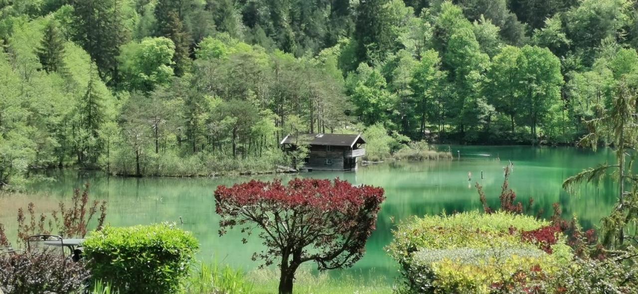 Villa Rosen - Ferienwohnungen Bad Reichenhall Ngoại thất bức ảnh
