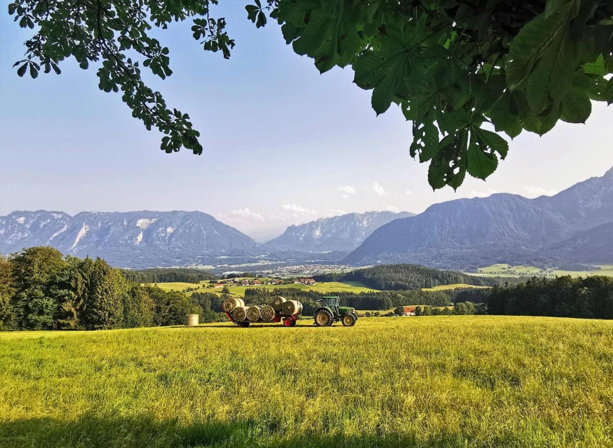 Villa Rosen - Ferienwohnungen Bad Reichenhall Ngoại thất bức ảnh