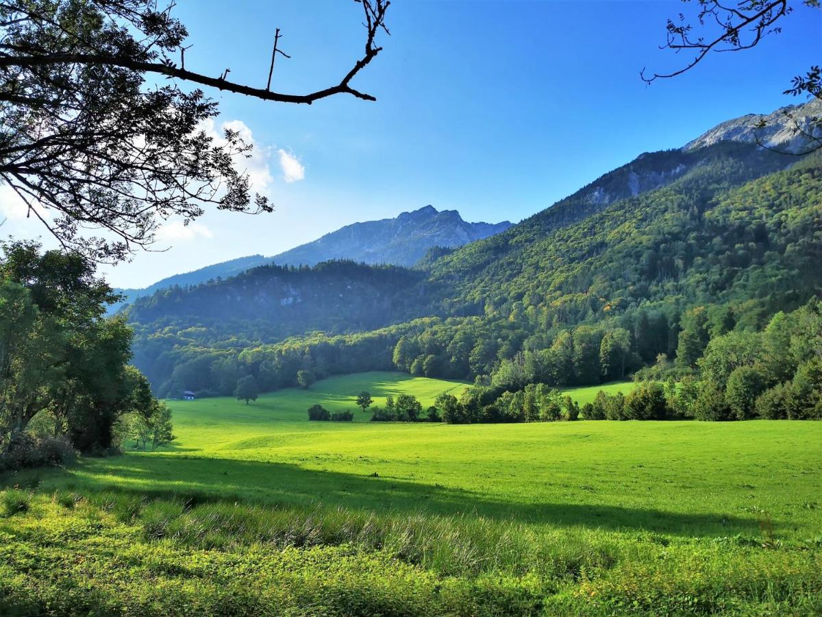 Villa Rosen - Ferienwohnungen Bad Reichenhall Ngoại thất bức ảnh